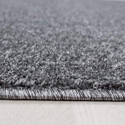 Abaseen Ata Plain Shaggy Rugs - Modern Living Room Rugs 2