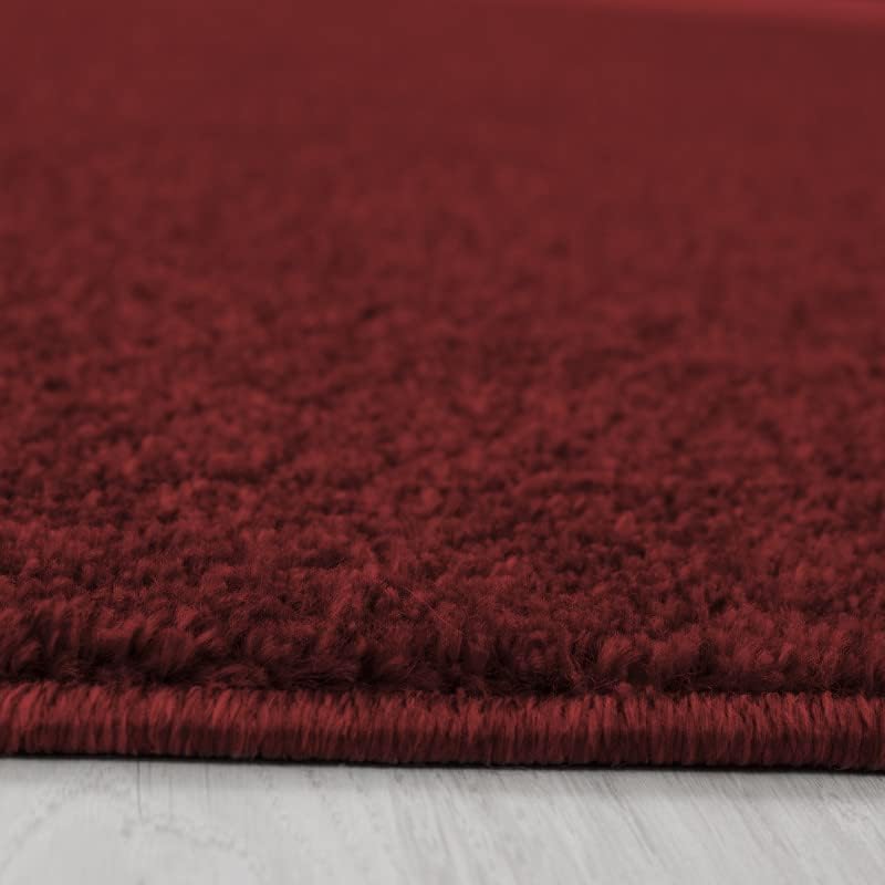 Abaseen Ata Plain Shaggy Rugs - Modern Living Room Rugs 21