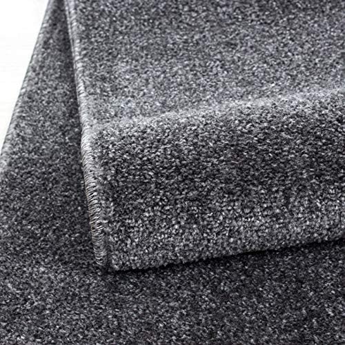 Glovelsupplies ATA Plain Shaggy Rugs - Modern Living Room Rugs