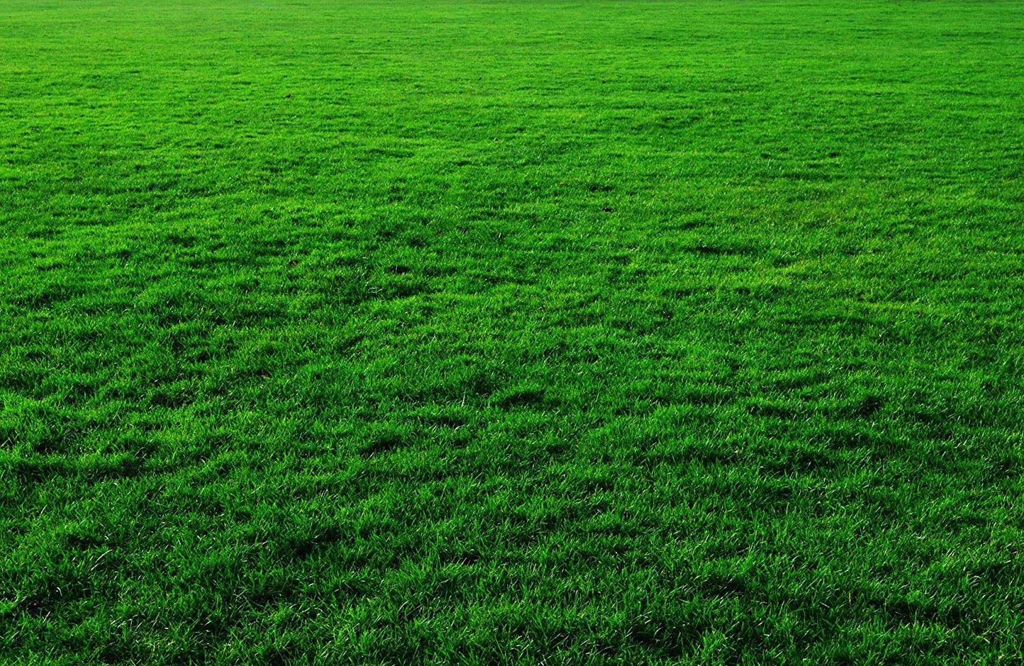 Looking For Artificial Grass Mats Or Artificial Grass Carpets You Are ON Right Place