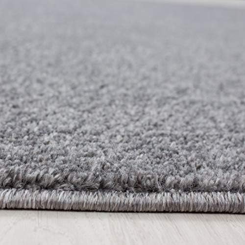 Abaseen Ata Plain Shaggy Rugs - Modern Living Room Rugs 1