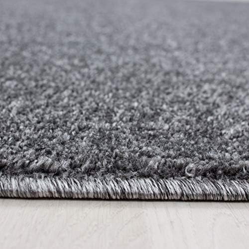 Abaseen Ata Plain Shaggy Rugs - Modern Living Room Rugs 2