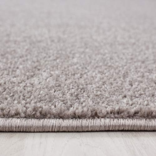 Abaseen Ata Plain Shaggy Rugs - Modern Living Room Rugs 12