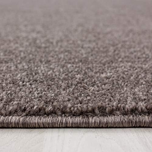 Abaseen Ata Plain Shaggy Rugs - Modern Living Room Rugs 3