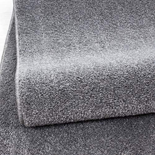 Glovelsupplies ATA Plain Shaggy Rugs - Modern Living Room Rugs