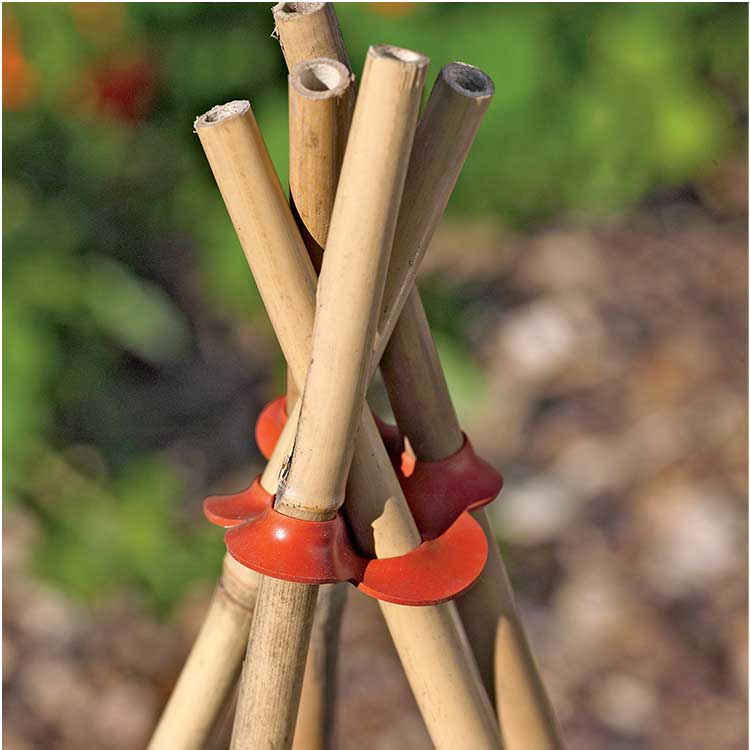 Bamboo Plant Sticks